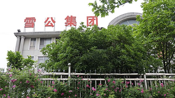 Xuegong corrugated adhesive factory and corrugating line manufacturer in Hefei, China